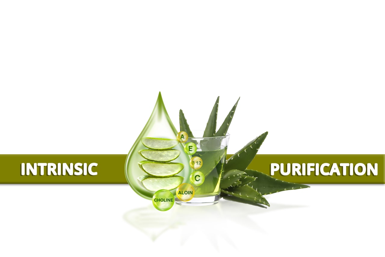 Intrinsic purification: Before you lost organs like liver, kidney and pancreas